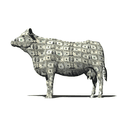 cashcow