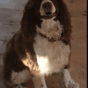 TUCKER
