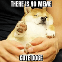 ILY