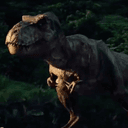 RAWR