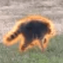 ‮
