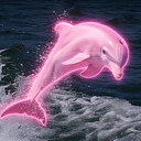 DOLPHIN