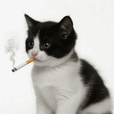 CigCat