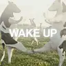 WAKEUP
