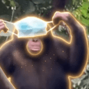 Tchossa