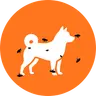 BTC