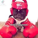 $DAGESTAN