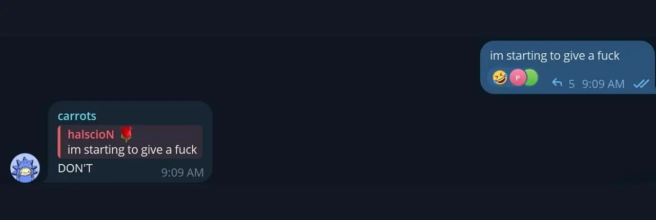 IDGAF Banner