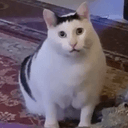 啊？
