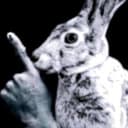 Hare