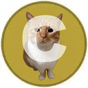 Cheddar