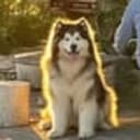 Aura