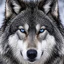 RISE