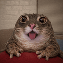 Toadcat