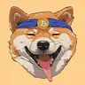 BITDOGE