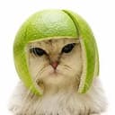 Limecat