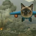 Meowing737