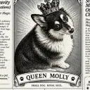 MOLLY