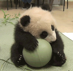 PLAYFUL