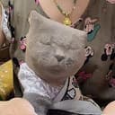 石化猫
