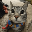 Zuzu