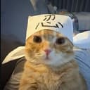 暖暖