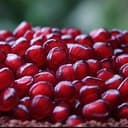 Eternal Seeds
