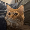 SCULLY