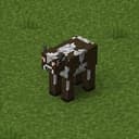 bull