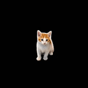 ᵗⁱⁿʸ