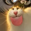 blep