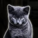 Mogcat