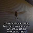 BUGS