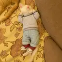 ChillCat