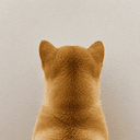 back