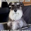 yummycandy