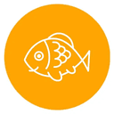 SARDINE