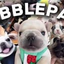 PIBBLE