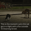 LARRY