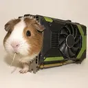 GPU