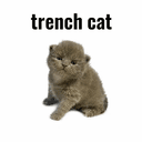 trenchcat