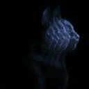 motion