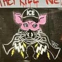 ICEPIG