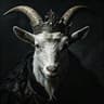 sheepking