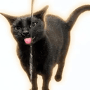 Faucat