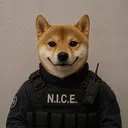 NICE