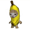 BCAT