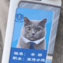 茶耶