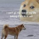 AiDoge