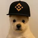 PUP
